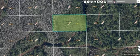 Dill Road, Orlando, FL 32820