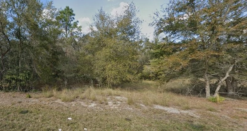 7116 Alloy St, Webster, FL 33597 photo 1