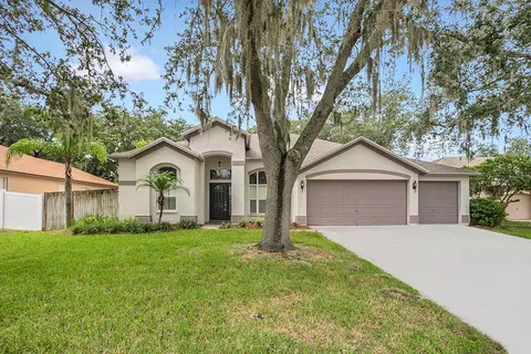 4008 Canter Ct, Valrico, FL 33596
