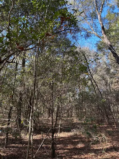 lot26 SW Grandview Ave, Dunnellon, FL 34431