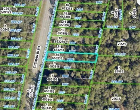 7338 Treiman Blvd, Webster, FL 33597 photo 3
