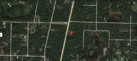 7338 Treiman Blvd, Webster, FL 33597 photo 6