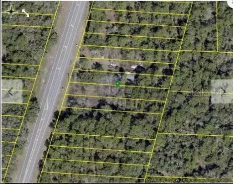 7338 Treiman Blvd, Webster, FL 33597 photo 4
