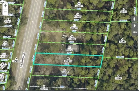 7338 Treiman Blvd, Webster, FL 33597