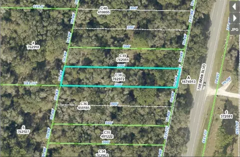 Treiman Boulevard, Webster, FL 33597