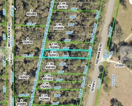 Treiman Boulevard, Webster, FL 33597 photo 2