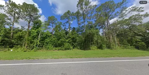 Treiman Boulevard, Webster, FL 33597 photo 6