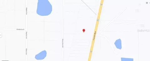 Treiman Boulevard, Webster, FL 33597 photo 5