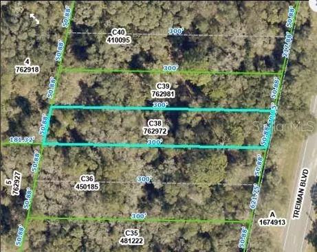 Treiman Boulevard, Webster, FL 33597 photo 3