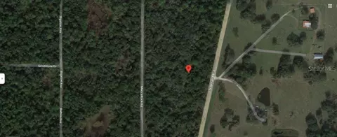 Treiman Boulevard, Webster, FL 33597 photo 4