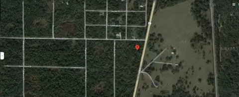 Treiman Boulevard, Webster, FL 33597 photo 3