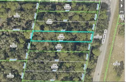 Treiman Boulevard, Webster, FL 33597