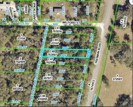 Treiman Boulevard, Webster, FL 33597 photo 2