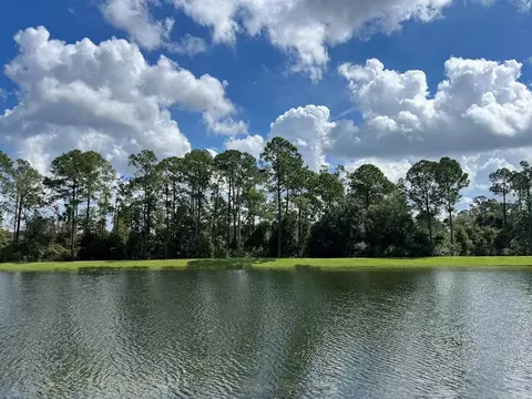 16384 Winding Preserve Curv, Clermont, FL 34714