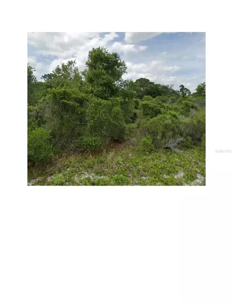 474 Johnson Ave NE, Lake Placid, FL 33852