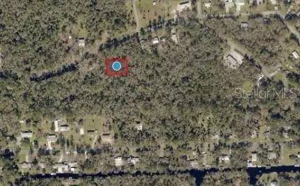 River Road, Astor, FL 32102 photo 2