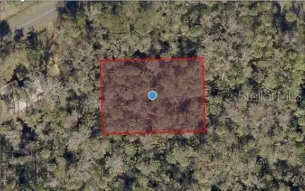 River Road, Astor, FL 32102 photo 3