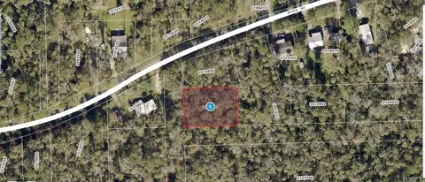 River Road, Astor, FL 32102