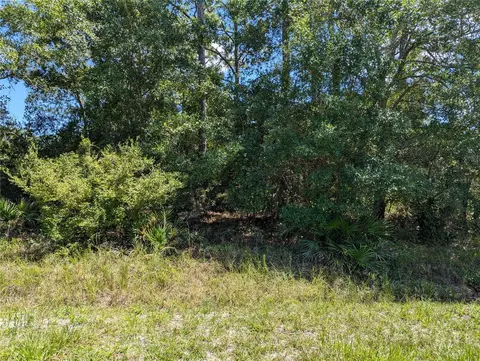 Bud Crum Road, Panacea, FL 32346