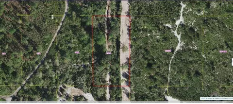 Holopaw Groves Road, Saint Cloud, FL 34773