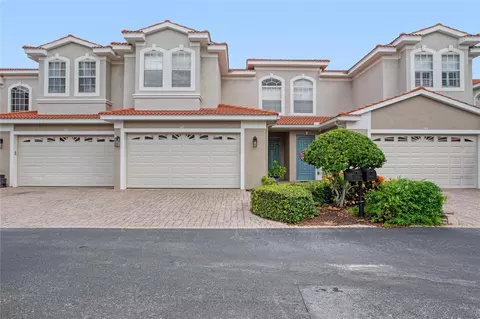 1344 Ribolla Dr, Palm Harbor, FL 34683