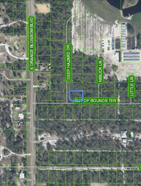 10662 Deep Hazard Dr, Sebring, FL 33875 photo 4