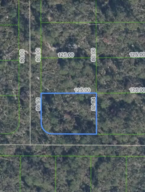 10662 Deep Hazard Dr, Sebring, FL 33875