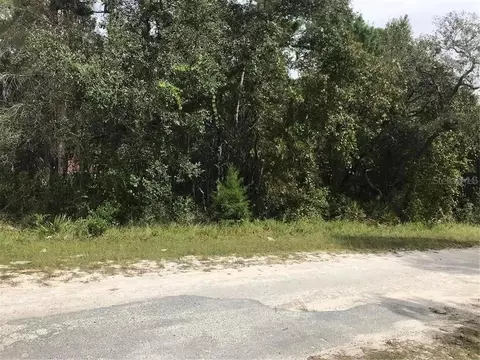 9031 Carrie Way, Weeki Wachee, FL 34613