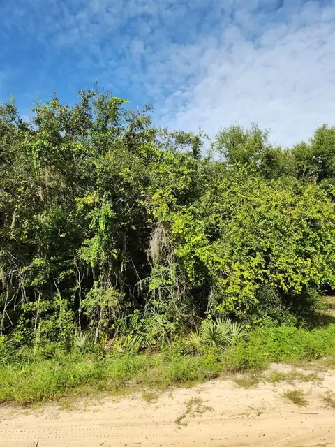 SE 104th Court, Ocklawaha, FL 32179