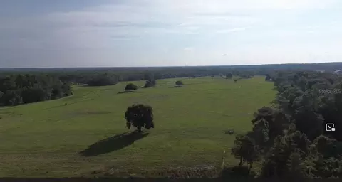 lot B Burhans Rd, Eustis, FL 32736 photo 9