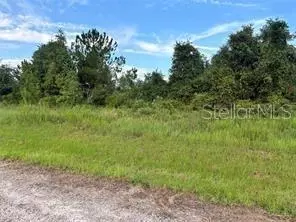 10737 N Dragonis Dr, Citrus Springs, FL 34433