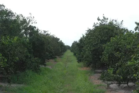 ne highway 70, Arcadia, FL 34266