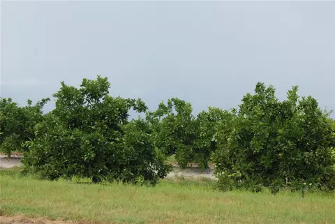 ne highway 70, Arcadia, FL 34266