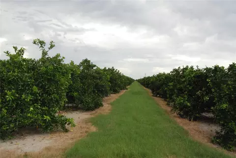 ne highway 70, Arcadia, FL 34266