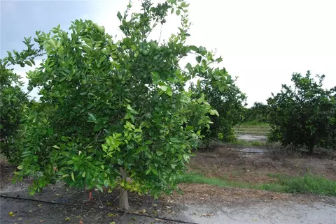 ne highway 70, Arcadia, FL 34266