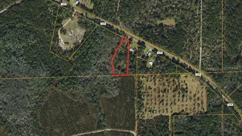 Cr-1475, Gainesville, FL 32609 photo 6