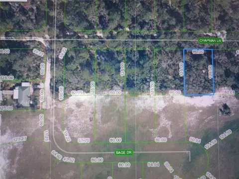 1011 Chapman Ln, Sebring, FL 33875