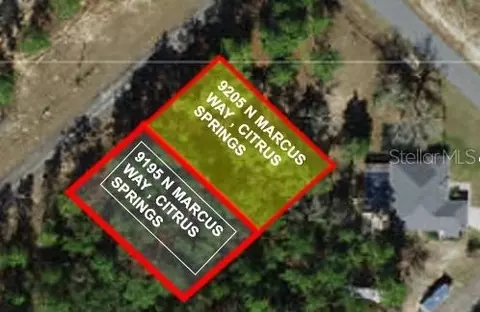 9205 N Marcus Way, Citrus Springs, FL 34433