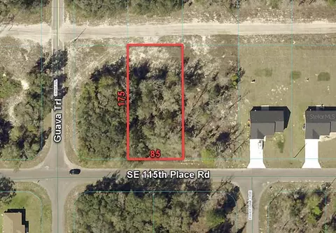 15475 SE 115th Place Rd, Ocklawaha, FL 32179