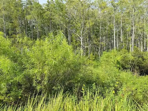 Old Polk City Road, Haines City, FL 33844
