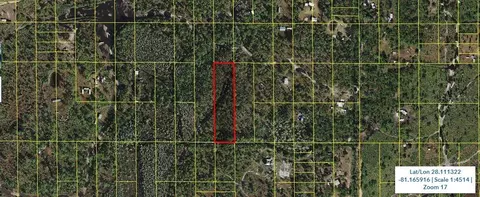 Holopaw Groves Road, Saint Cloud, FL 34773