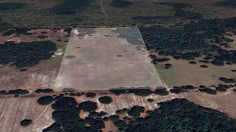 Bumpy Way, Plant City, FL 33565