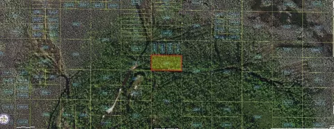 Holopaw Groves Road, Saint Cloud, FL 34773