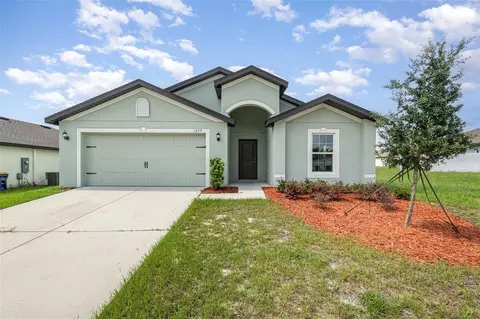1677 Gopher Tree St, Mascotte, FL 34753