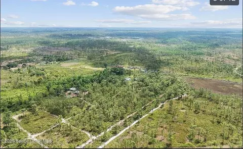 Palm Frond Road, Saint Cloud, FL 34773 photo 3