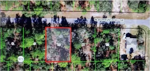 706 W Hummingbird Dr, Citrus Springs, FL 34434
