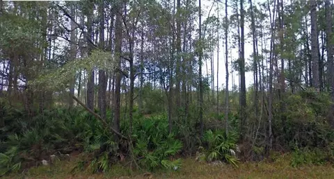 NE 65th Avenue, Citra, FL 32113