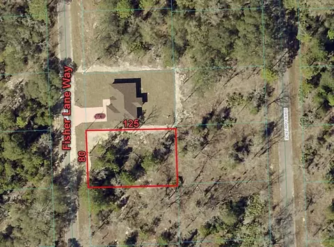 tbd Fisher Lane Way, Ocklawaha, FL 32179