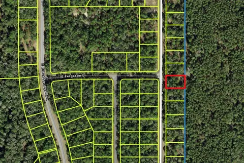 9487 N Lily Dr, Citrus Springs, FL 34434