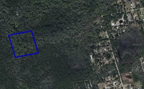 095 Pine Needle Rd, Mims, FL 32754